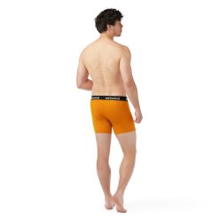 Alternative view of Smartwool Merino - Men's Active Boxer Brief Boxed